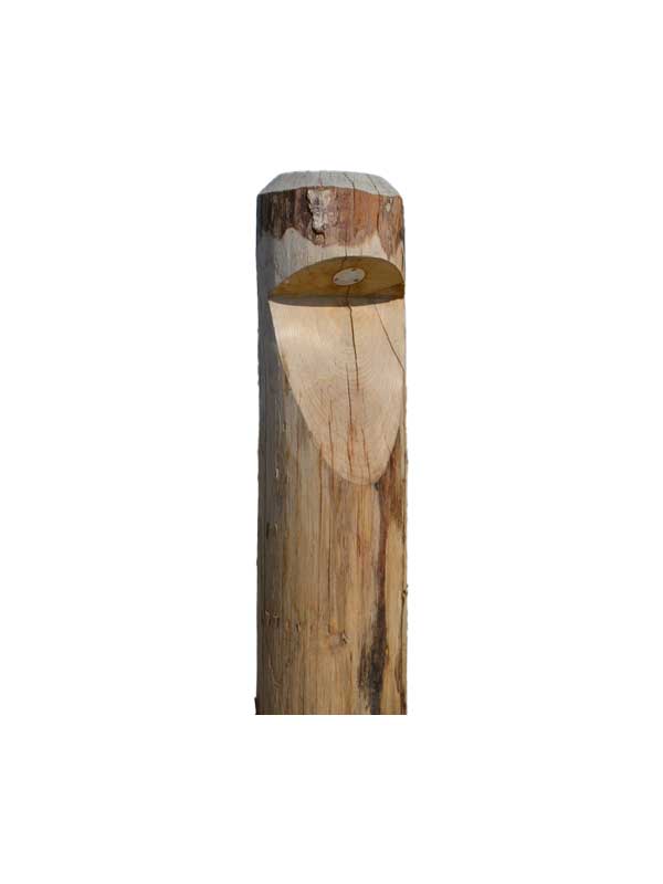 Seijsener BOSCO, Kastanje, 180/200x650mm + 600mm ingraven