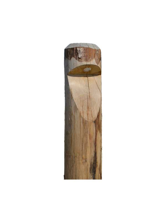 Seijsener BOSCO, Kastanje, 180/200x650mm + 600mm ingraven