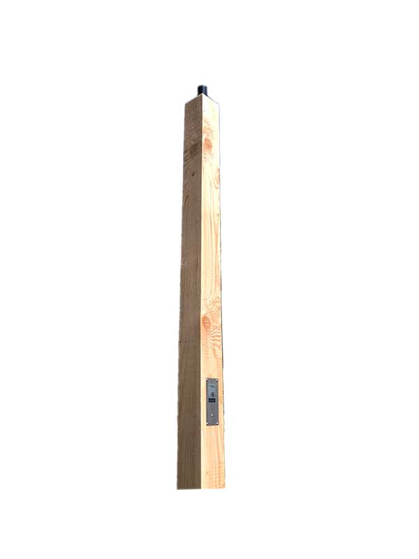 Seijsener Pila Lariks 3000mm met paalhouder