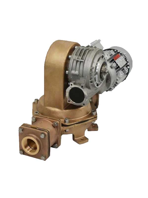 Seijsener Vuilwaterpomp M60K